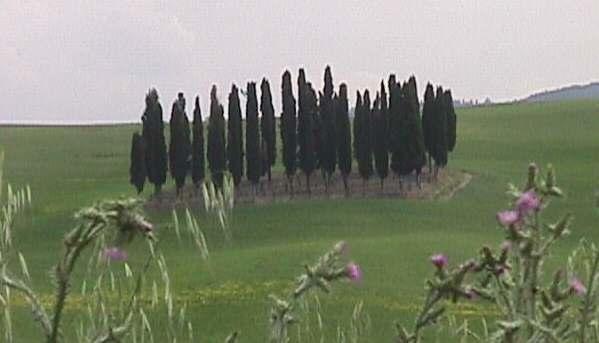 B&B Il Vecchietta Castiglione dʼOrcia Eksteriør billede