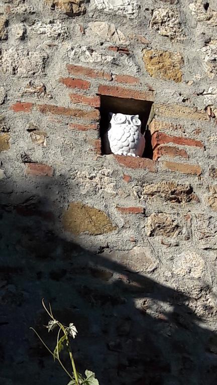 B&B Il Vecchietta Castiglione dʼOrcia Eksteriør billede